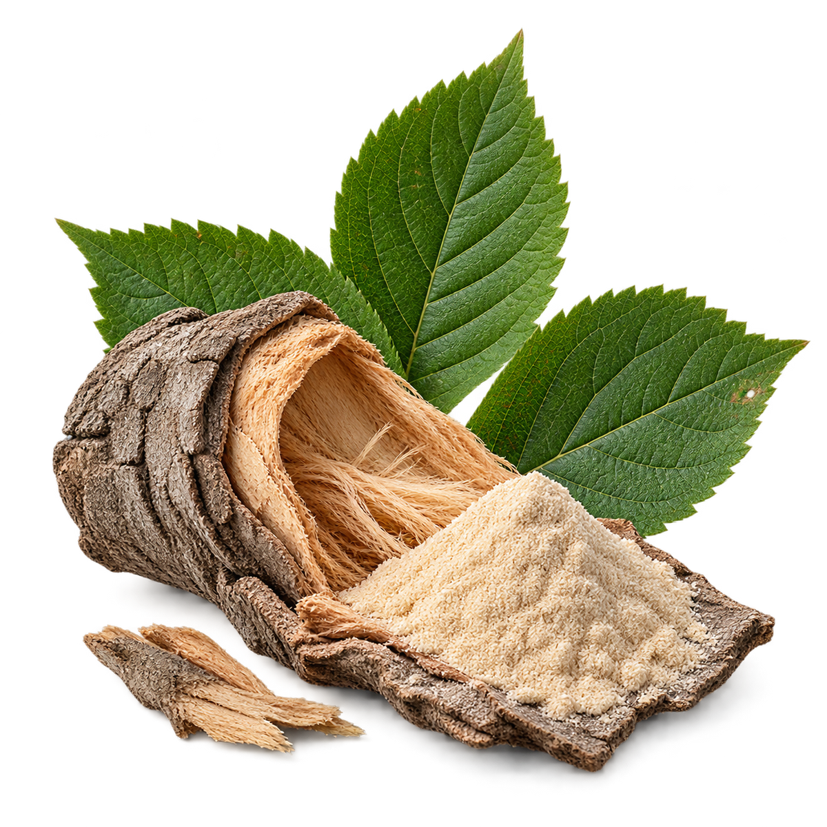 Slippery Elm Bark Extract