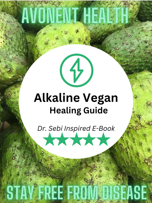 Alkaline Vegan Healing Guide