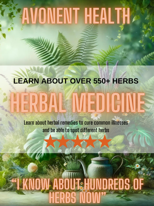 FREE Herbal Medicine Book (Over 500+ Herbs)
