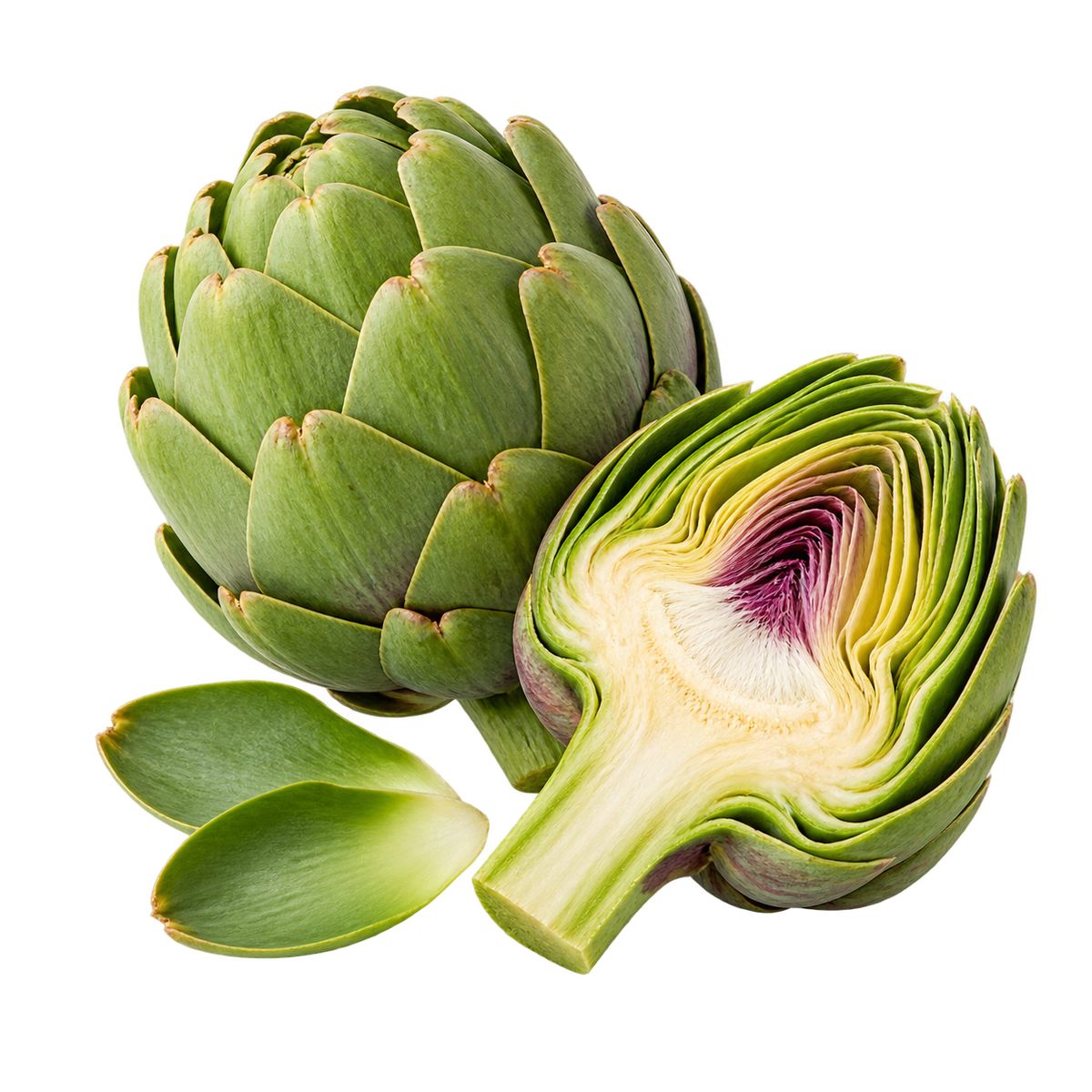 Artichoke Extract